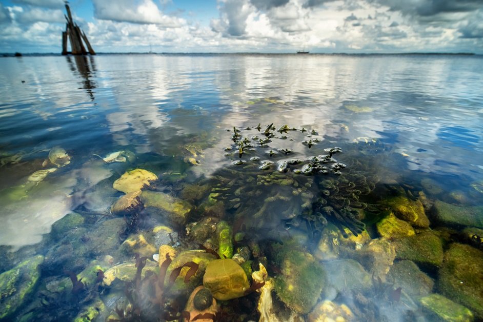 Hol Chan Marine Reserve, Belize
